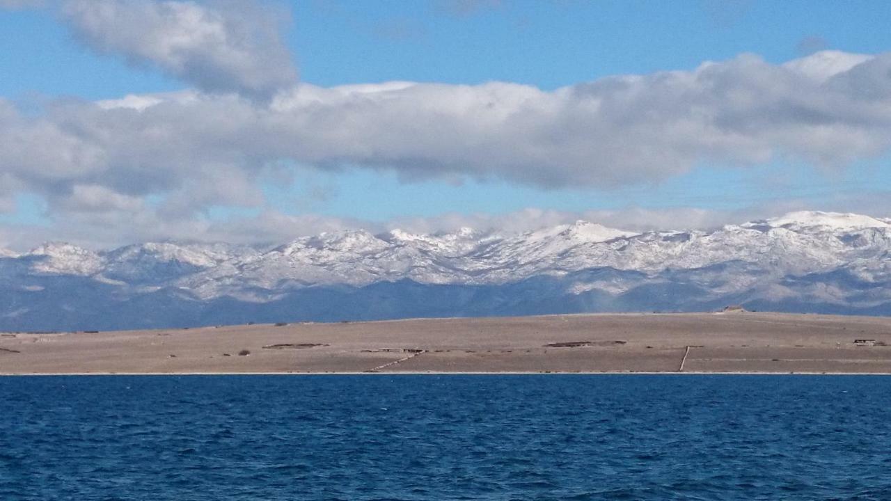 Vila Filipasic Daire Vir Dış mekan fotoğraf